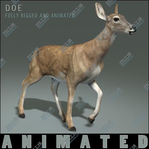 images/goods_img/20210312/Doe (ANIMATED)/3.jpg